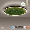 Leuchten-Direkt GREEN RITUS Plafoniera LED Nero, 1-Luce