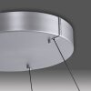 Paul Neuhaus PURE E-LOOP Lampada a Sospensione LED Argento, 2-Luci, Telecomando
