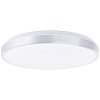 Brilliant Livius Plafoniera LED Argento, 1-Luce, Telecomando