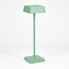 Algeraz Lampada da tavolo LED Verde, 1-Luce