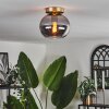 Apedo Plafoniera - Vetro Ottone, 1-Luce