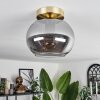 Apedo Plafoniera - Vetro Ottone, 1-Luce