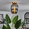 Apedo Plafoniera - Vetro Ottone, 1-Luce