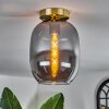 Apedo Plafoniera - Vetro Ottone, 1-Luce