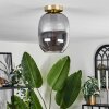 Apedo Plafoniera - Vetro Ottone, 1-Luce