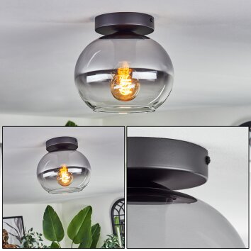 Apedo Plafoniera - Vetro Chiaro, Grigio fumo, 1-Luce