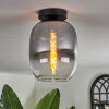 Apedo Plafoniera - Vetro Chiaro, Grigio fumo, 1-Luce