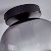 Apedo Plafoniera - Vetro Chiaro, Grigio fumo, 1-Luce