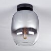 Apedo Plafoniera - Vetro Chiaro, Grigio fumo, 1-Luce