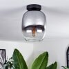 Apedo Plafoniera - Vetro Chiaro, Grigio fumo, 1-Luce