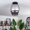 Apedo Plafoniera - Vetro Grigio fumo, 1-Luce