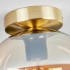 Apedo Plafoniera - Vetro Ottone, 1-Luce