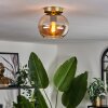 Apedo Plafoniera - Vetro Ottone, 1-Luce