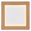 Globo CLAY Plafoniera LED Aspetto del legno, Bianco, 1-Luce