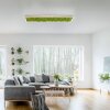 Leuchten-Direkt GREEN KNUT Plafoniera LED Argento, 1-Luce