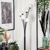 Bernado Lampada da terra - Vetro 10 cm Bianco, 6-Luci