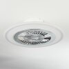 Terradura ventilatore da soffitto LED Cromo, Bianco, 1-Luce, Telecomando