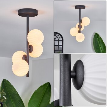 Chehalis Plafoniera - Vetro 10 cm Bianco, 4-Luci