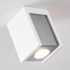 Braslo Plafoniera Grigio, Bianco, 1-Luce