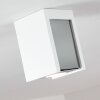 Braslo Plafoniera Grigio, Bianco, 1-Luce