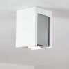 Braslo Plafoniera Grigio, Bianco, 1-Luce