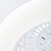 Brilliant Salerno Plafoniera LED Bianco, 1-Luce, Telecomando