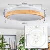 Sofo Plafoniera LED Bianco, 1-Luce