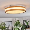 Sofo Plafoniera LED Bianco, 1-Luce