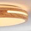 Sofo Plafoniera LED Bianco, 1-Luce