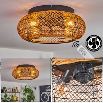 Fallhagen Plafoniera, Lampada con ventilatore Nero, 4-Luci, Telecomando