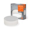 Illuminazione Ledvance Orbis Plafoniera Beige, 1-Luce