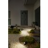 Illuminazione Ledvance Endura Faretto da giardino LED Nero, 1-Luce