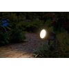 Illuminazione Ledvance Endura Faretto da giardino LED Nero, 1-Luce