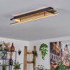 Cascada Plafoniera LED Ottone, Écru, Nero, 1-Luce