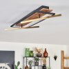 Cascada Plafoniera LED Ottone, Écru, Nero, 1-Luce