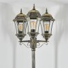 Etoe Lampione multibraccia, Illuminazione viale Oro, Nero, 3-Luci