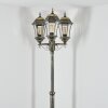 Etoe Lampione multibraccia, Illuminazione viale Oro, Nero, 3-Luci