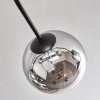 Gastor Plafoniera 74 cm Cromo, Chiaro, Grigio fumo, 6-Luci