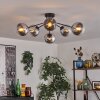 Gastor Plafoniera 74 cm Cromo, Chiaro, Grigio fumo, 6-Luci