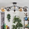 Gastor Plafoniera 74 cm Ambrato, Chiaro, Grigio fumo, 6-Luci