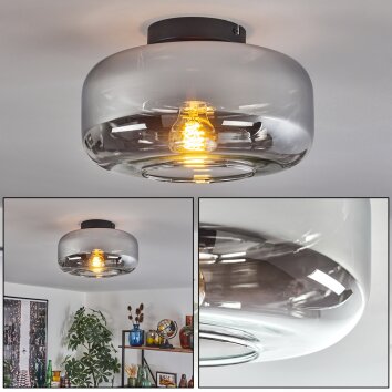 Boza Plafoniera Cromo, Chiaro, Grigio fumo, 1-Luce