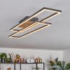 Macos Plafoniera, Faretto da soffitto LED Marrone, Aspetto del legno, Nero, 1-Luce