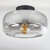 Boza Plafoniera Chiaro, Grigio fumo, 1-Luce