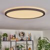 Endrup Plafoniera LED Nero, 1-Luce