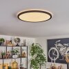 Endrup Plafoniera LED Nero, 1-Luce