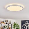 Endrup Plafoniera LED Bianco, 1-Luce