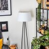 Bassagoda Lampada da terra beige, 1-Luce