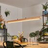 Carbellino LED Écru, Nero, 1-Luce