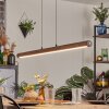 Carbellino Lampada a sospensione LED Marrone scuro, Nero, 1-Luce