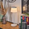 Algeraz Lampada da tavolo per esterno, Lampada da tavolo LED Bianco, 1-Luce